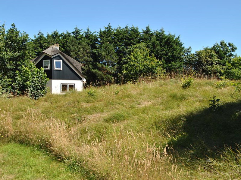 Boshuisje op Texel (8p)