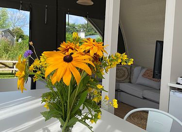 Unieke glamping op het mooie eiland Tholen - 10