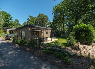 Vakantiehuis op de Veluwe voor 4 personen - 17