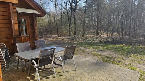 Grande maison en bois dans la forêt avec sauna privé - 3