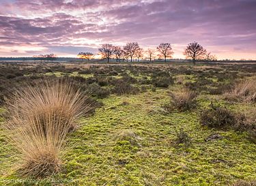 Uniek huis in een ruïne naast De Hoge Veluwe - 17