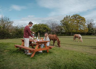 Tiny House zwischen Pferden und Ponys - 16