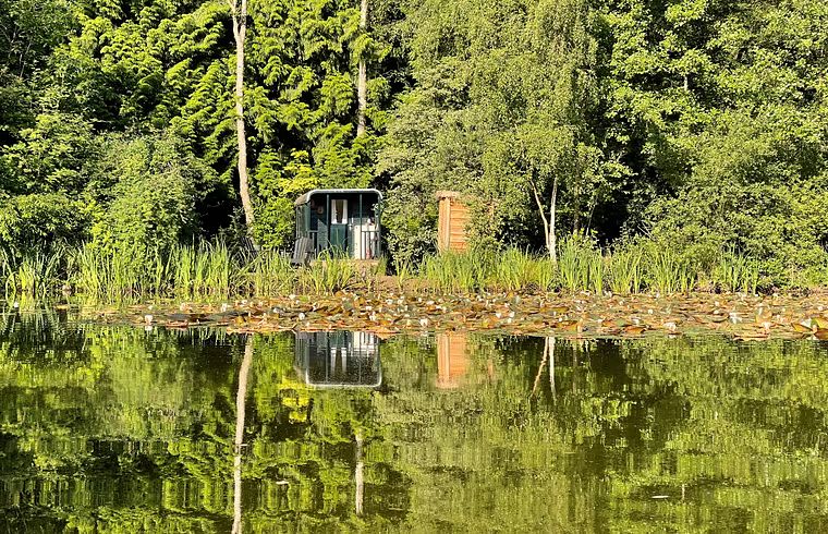 Hyggeligt ophold direkte ved vandet i en skov - 1