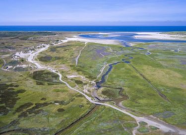 Bolig på Texel tæt på stranden og skoven - 28