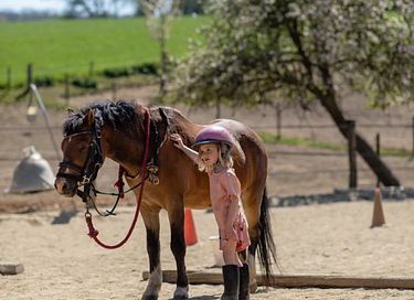  Glamping on Horse & pony farm glamping - 15