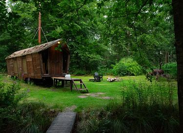 Uniek verblijf in het bos met privacy - 5