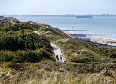 Urlaub nah an Strand und Meer (Zeeland) - 47