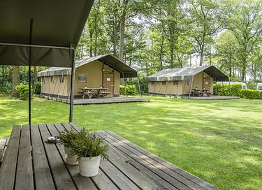 Glamping in the Achterhoek (dog allowed) - 5