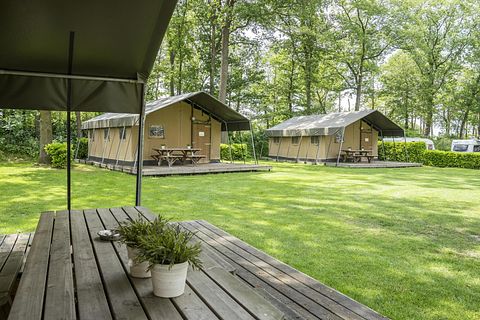 Glamping in the Achterhoek (dog allowed) - 5