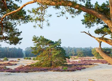 Luxe vakantiehuis in een rustige omgeving - 49