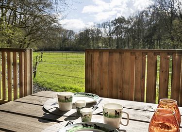 Ruime lodge op mooi domein met paarden - 18