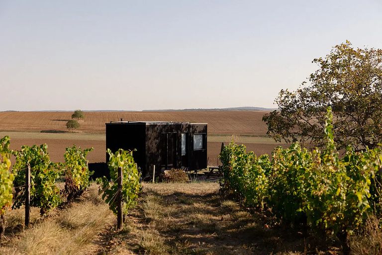 Stay in the vineyards of Burgundy  - 1