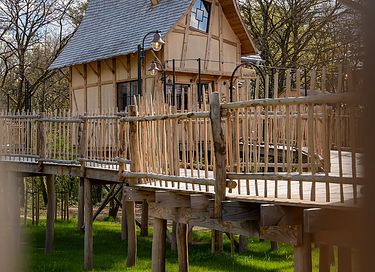 Unieke boomlodge in de Ardennen - 28