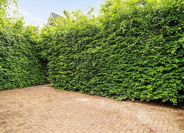 Vakantiewoning in Drenthe met veel privacy - 23
