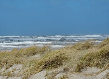 Cozy hotel close to the sea on Terschelling - 2