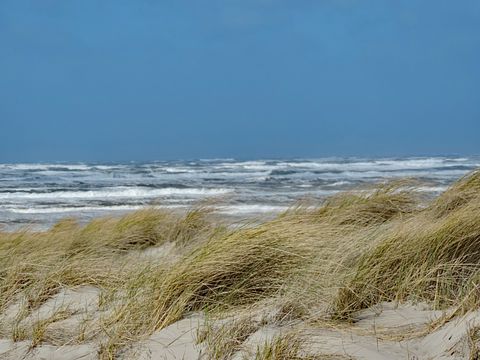 Cozy hotel close to the sea on Terschelling - 2