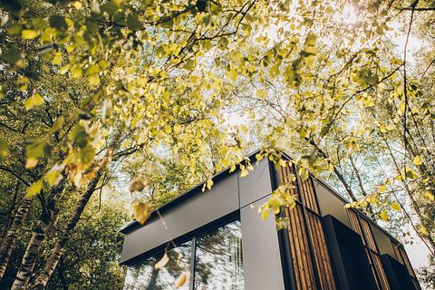 Romantische Hütte für 2 Personen am Rande des Waldes - 4