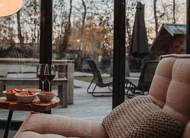 Duinvilla met sauna op Texel - 5