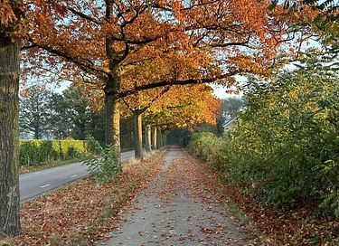 Sfeervolle B&B met uitzicht op paardenweide - 28