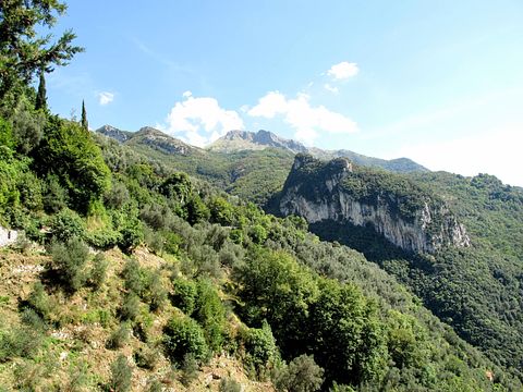 Vakantiehuis midden in de natuur voor 4 pers. - 4
