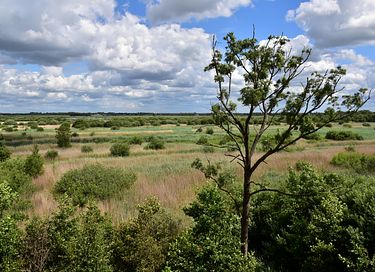 House (6p) overlooking the Frisian waters - 18
