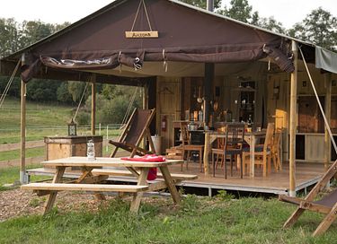 A small cabin among the animals near Appelscha - 3