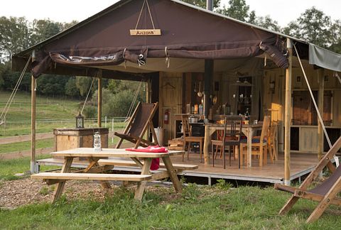 A small cabin among the animals near Appelscha - 3