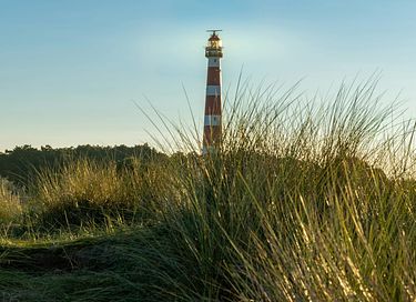 Gastfreundliches Hotel in den Dünen von Ameland - 32