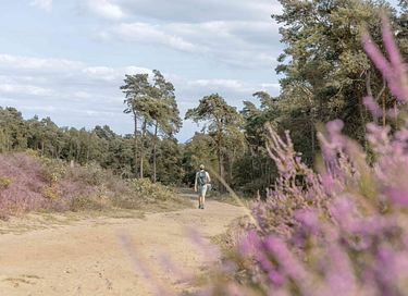 Sfeervol overnachten in een tenthuisje - 23