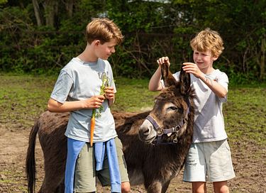 Glamping op een paardenboerderij - 14