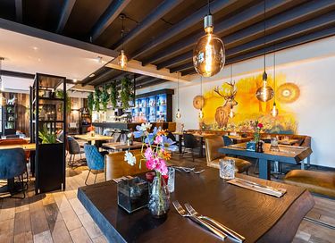Dog-friendly wellness lodge in the Veluwe region - 12