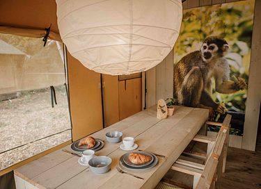 Family safaritent with private bathroom - 3