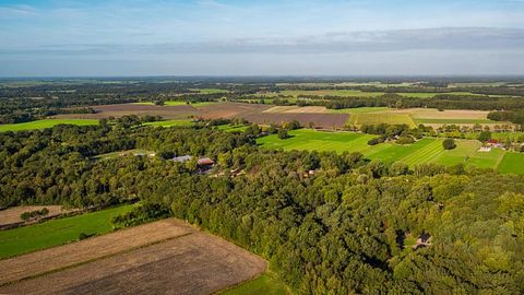 Unieke boomhut in Drenthe voor 6 personen - 3