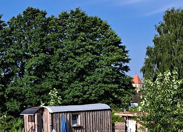 Restful gypsy caravan with panoramic views - 2