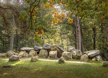 Wellnesshaus (6 P.) in Drenthe - 17