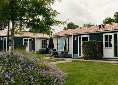Hotel chalet in the Veluwe for 4 people - 3