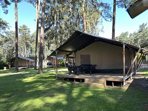 Glampingzelt für 4 Personen in Belgisch Limburg - 2