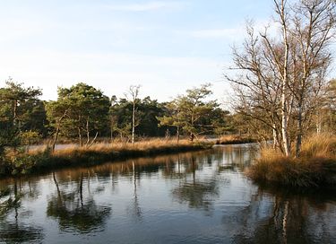 Tente safari (6p) sur un camping boisé en Drenthe - 27