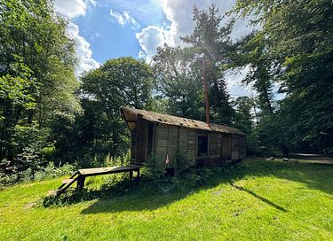 Uniek verblijf in het bos met privacy - 2