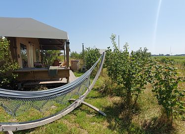Glamping met privé hottub - 5