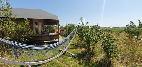 Glamping met privé hottub - 5