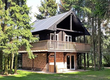 Prachtig boshuisje in Drenthe - 4