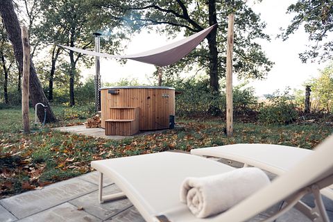 Gîte forestier avec bain à remous privé à Overijssel - 3