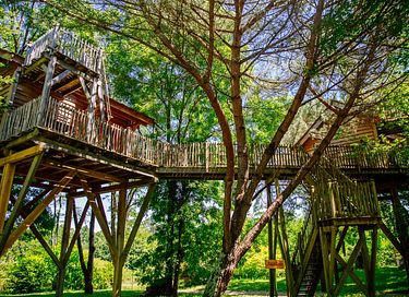 Boomhut met panoramisch uitzicht - 10