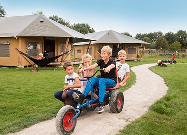 Glamping à la ferme des Alpagas - 5