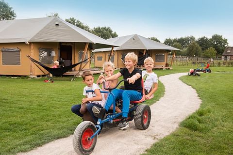 Glamping à la ferme des Alpagas - 5