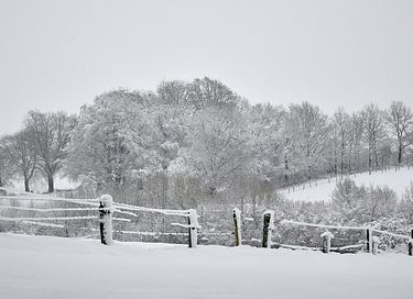 Dog-friendly cottage in the Ardennes - 14