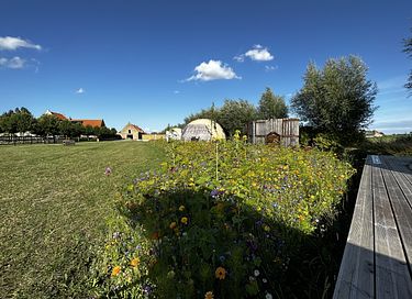 Glamping Dome mit privatem Whirlpool und Aussicht - 21