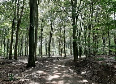 Natuurhuisje met omheinde tuin - 20
