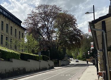 Overnachten aan de voet van de Cauberg  - 14